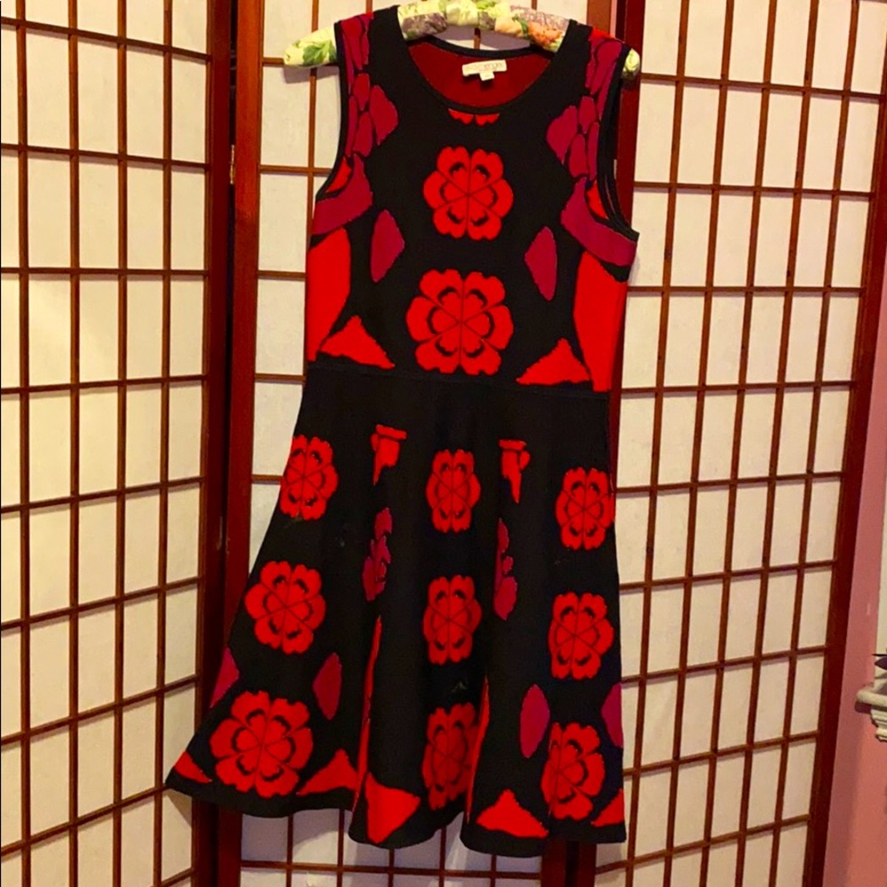 Red and Black Dress
